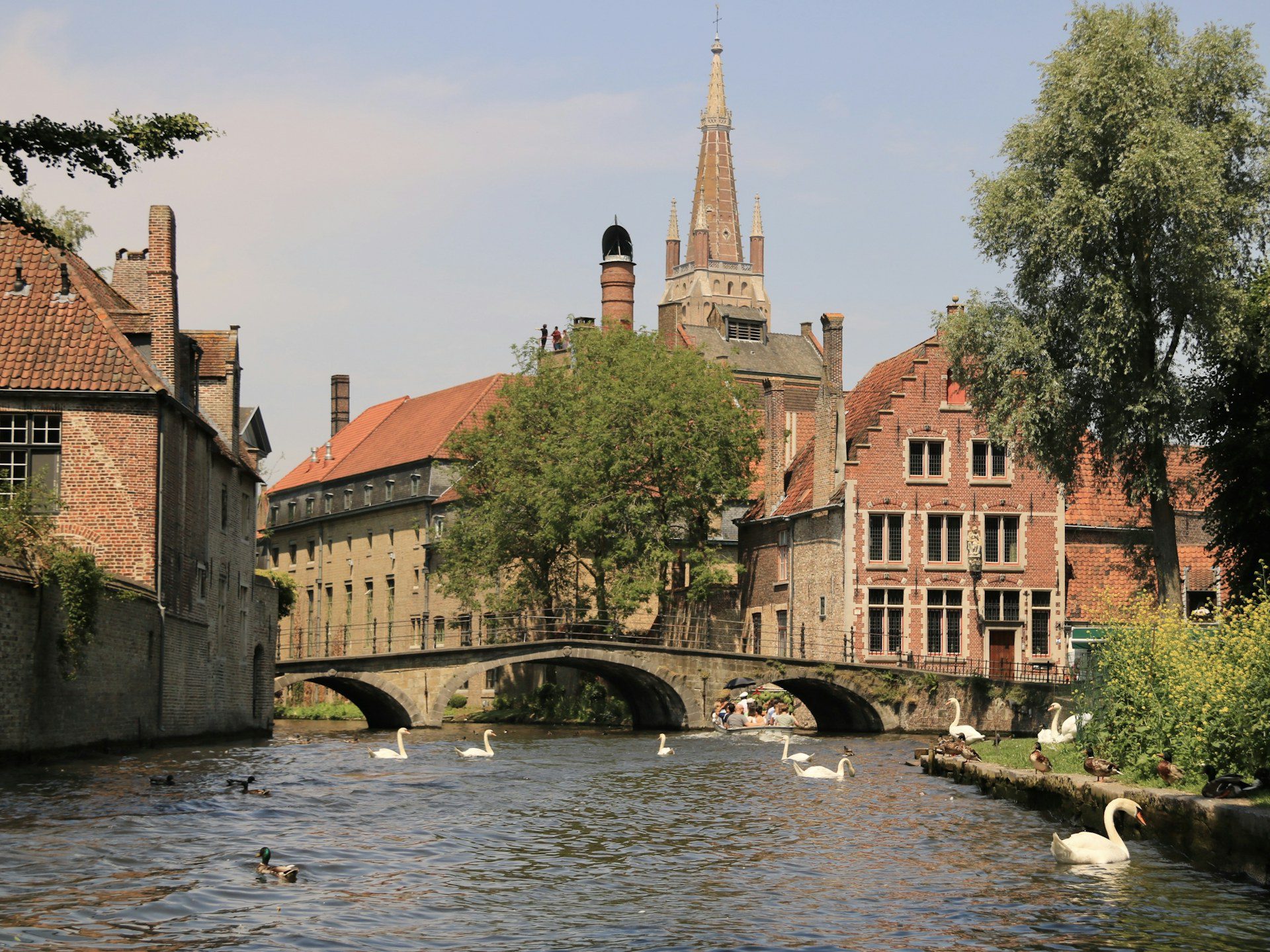 Bruges, Belgio: guida city break tra Markt, canali e Begijnhof 2 Cigni sul canale di Bruges vicino al Begijnhof con il ponte in pietra e la guglia della Chiesa di Nostra Signora