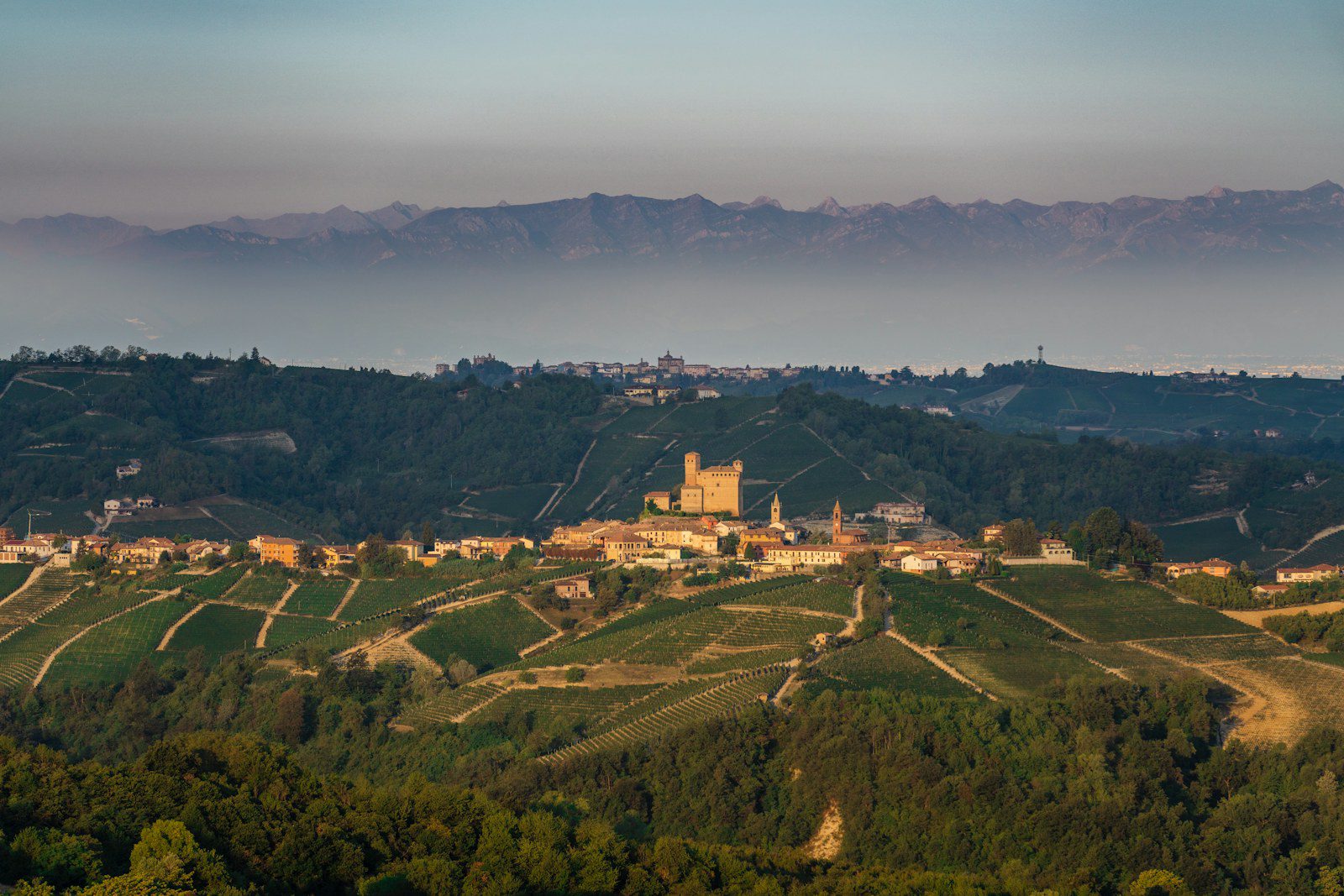 Langhe e Alba in autunno: guida tra tartufo bianco, Barolo e borghi delle colline UNESCO 3 Il borgo di Serralunga d'Alba con il suo castello trecentesco tra i vigneti delle Langhe e la catena delle Alpi all'orizzonte nella luce del mattino