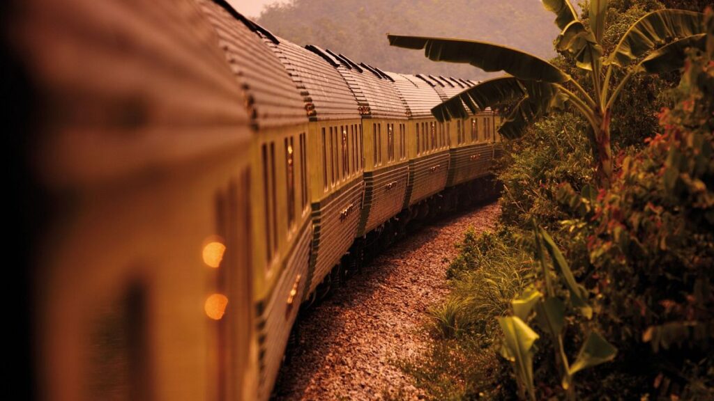 Viaggio attraverso la giungla tropicale nel lusso sull'ultimo drenaggio addormentato della Malesia