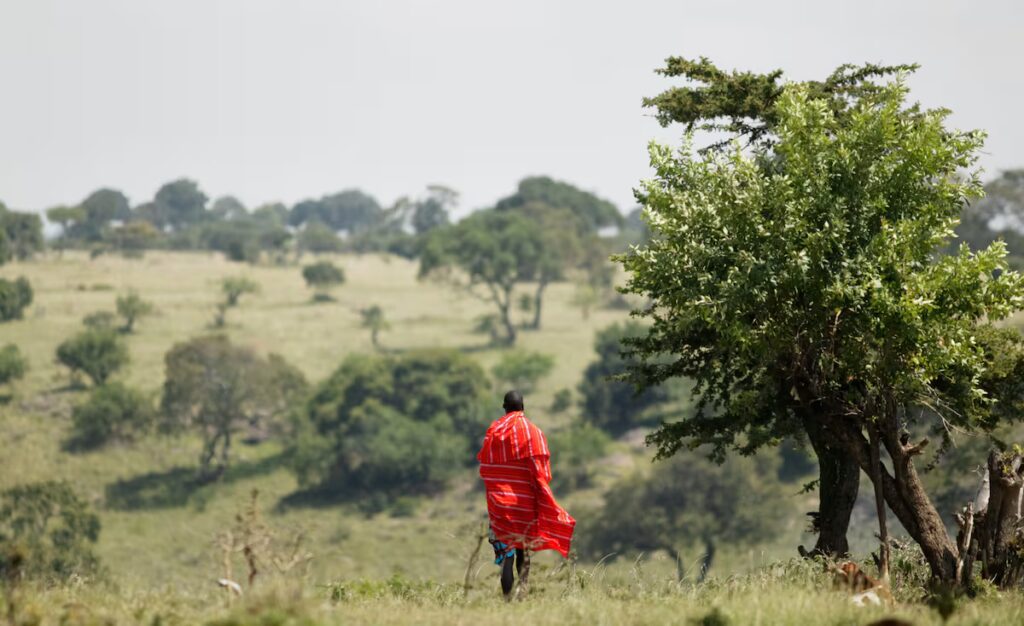 Guida al viaggio nella Riserva Nazionale Masai Mara: cosa vedere in Kenya