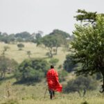Guida al viaggio nella Riserva Nazionale Masai Mara: cosa vedere in Kenya