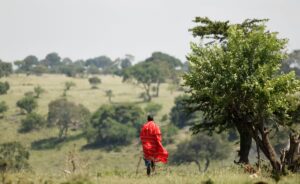 Guida al viaggio nella Riserva Nazionale Masai Mara: cosa vedere in Kenya