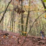 Guida alle 4 Foreste da Vedere in Catalogna durante l’Autunno