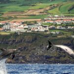 Ryanair minaccia di tagliare tutti i voli per le Azzorre a partire dal 2026. Ecco come potrebbe influire sulle tue vacanze