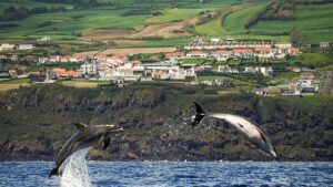 Ryanair minaccia di tagliare tutti i voli per le Azzorre a partire dal 2026. Ecco come potrebbe influire sulle tue vacanze