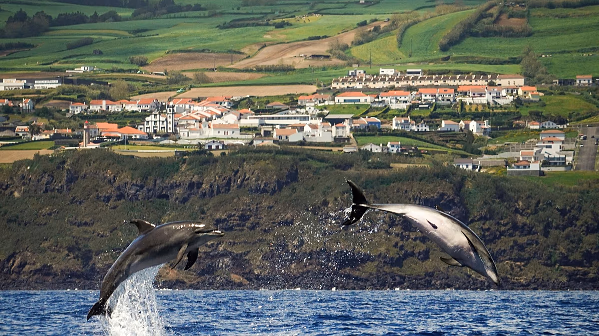 Ryanair minaccia di tagliare tutti i voli per le Azzorre a partire dal 2026. Ecco come potrebbe influire sulle tue vacanze