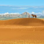 Viaggio in Mongolia Nomade: cosa vedere e vivere in un’esperienza unica