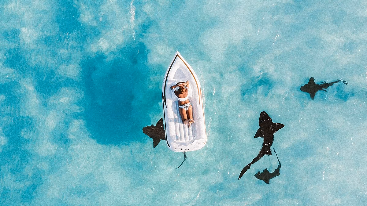 Punti, vantaggi e miglia aeree: come l'84% dei viaggiatori "gioca" a programmi fedeltà per risparmiare denaro