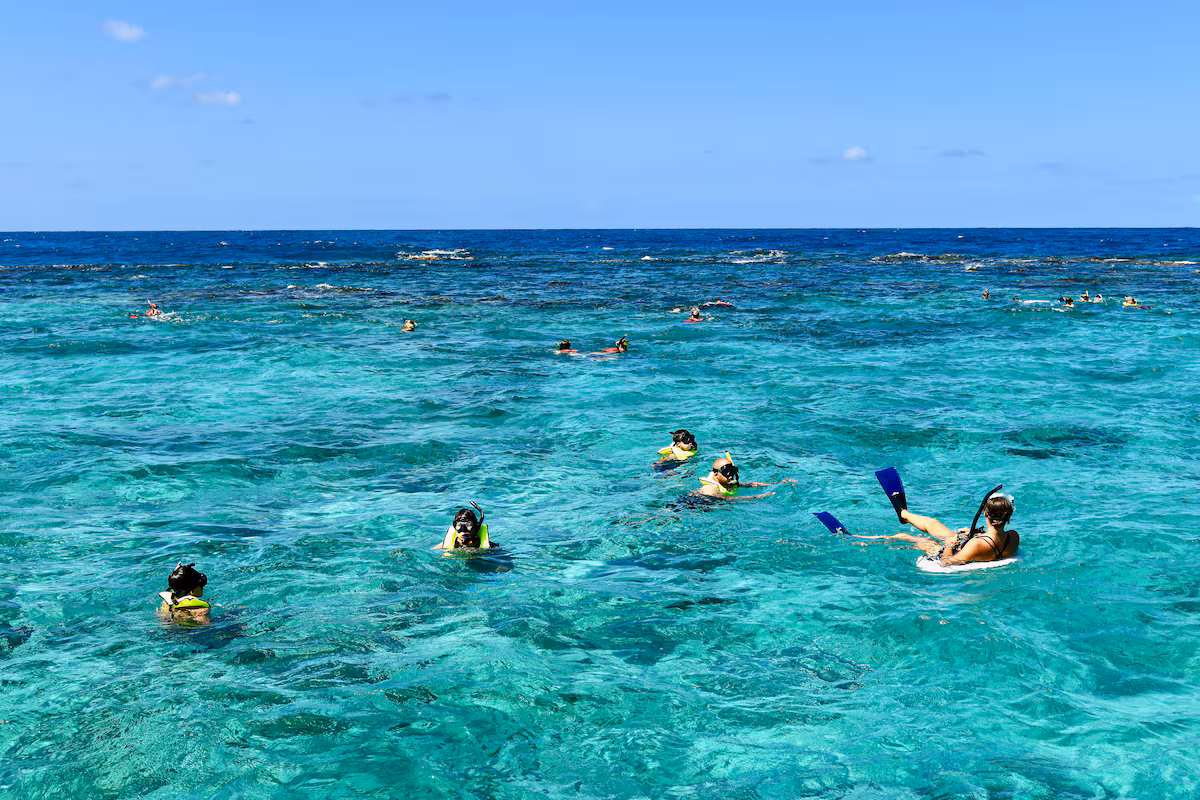 Guida a St. Croix: cosa vedere e vivere alle Isole Vergini in relax