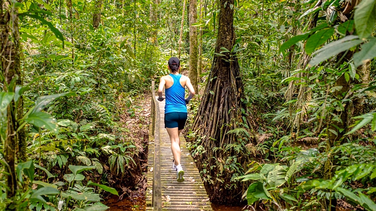 Dall'Amazzonia all'Antartide: queste sono le migliori maratone irripetibili da provare