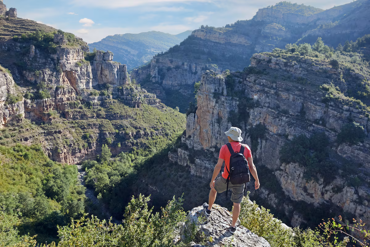 Cosa vedere nel Canyon del Fiume Leza, La Rioja: avvoltoi e dinosauri