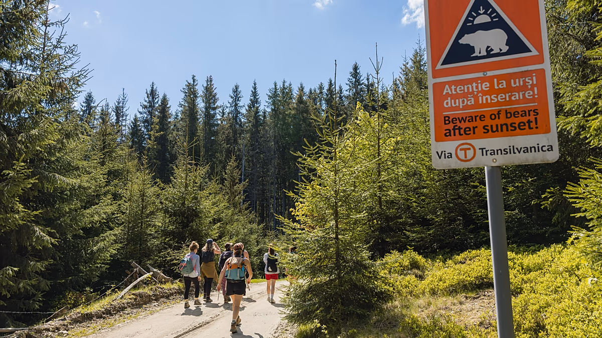 Dimentica il Cammino di Santiago. Il sentiero escursionistico della Via Transilvanica in Romania è selvaggio, accogliente e tranquillo