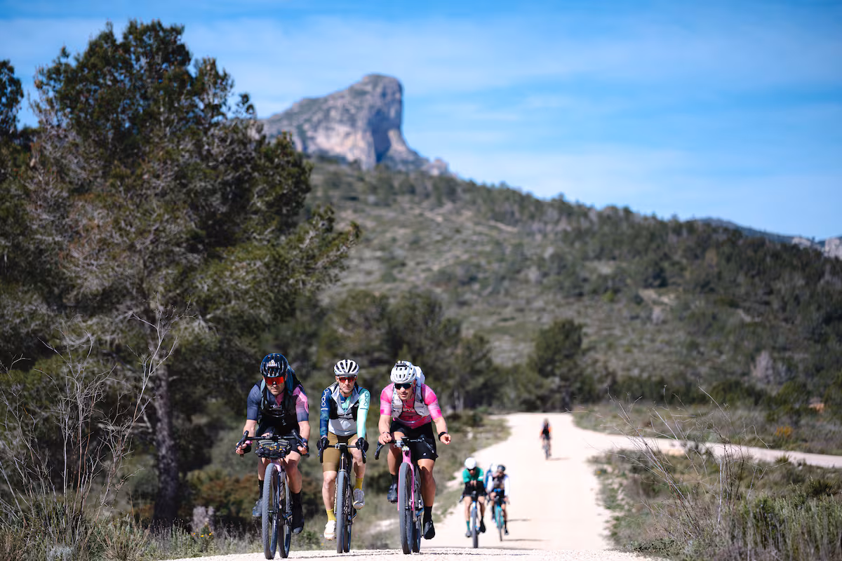 Guida a un viaggio in bicicletta nelle Terres de l'Ebre: dal Delta di Ebro a Els Ports